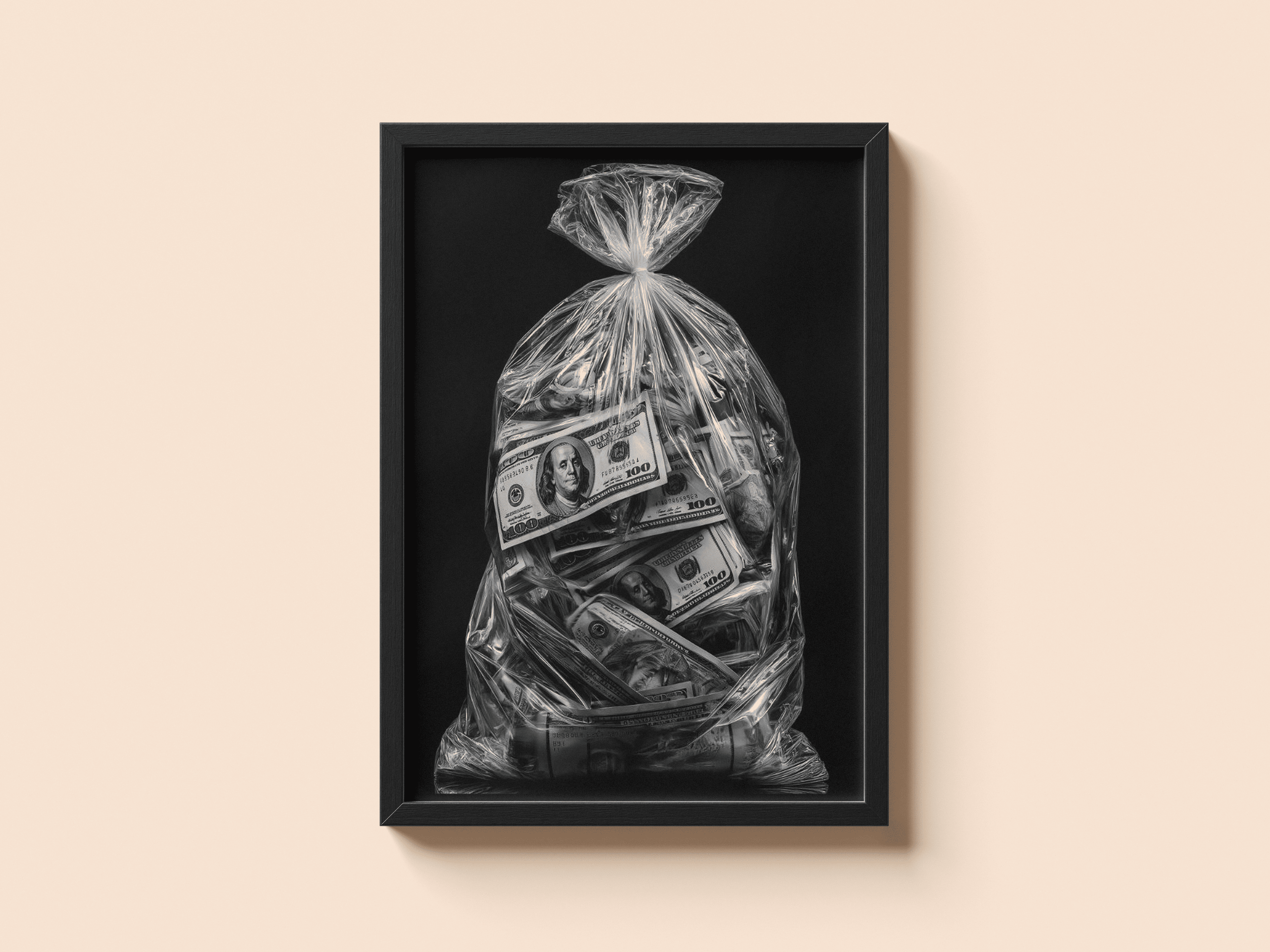 Money Bag